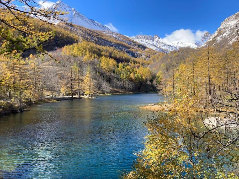 Appartamento Lou Touas Dou Lamet A 蒙切尼肖 外观 照片